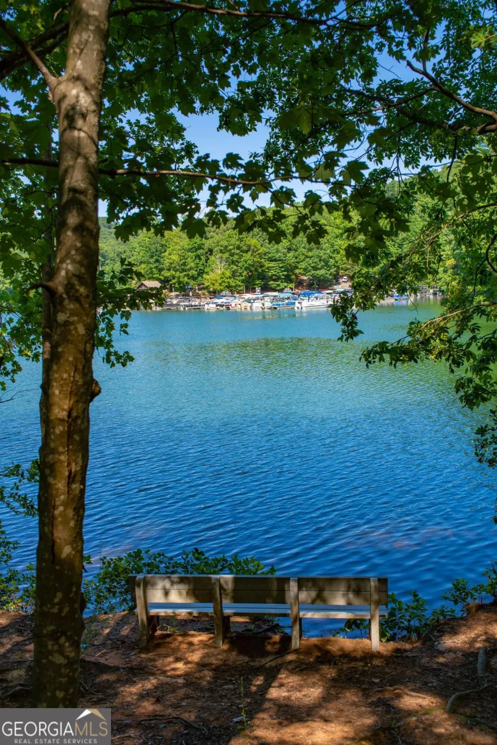 40 Treetopper LN Jasper, GA 30143