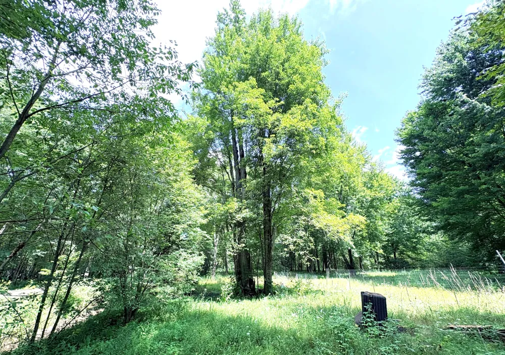 9022 Caberfae Highway Stronach Township, MI 49660