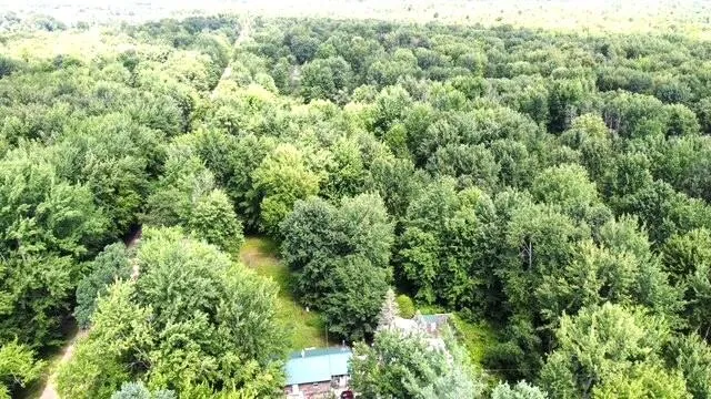 9022 Caberfae Highway Stronach Township, MI 49660