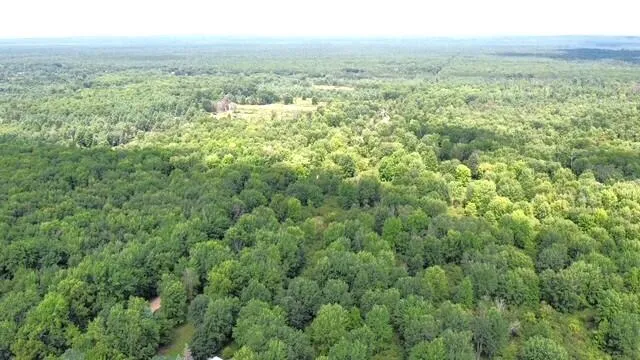 9022 Caberfae Highway Stronach Township, MI 49660
