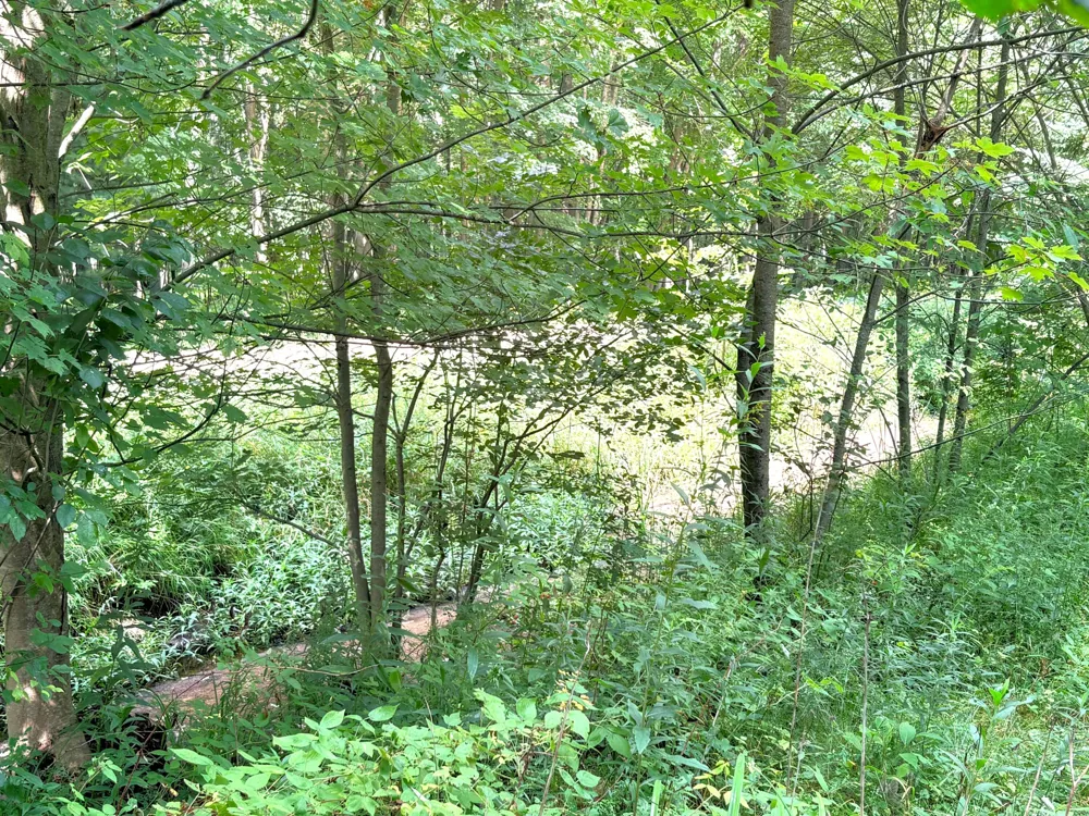 9022 Caberfae Highway Stronach Township, MI 49660