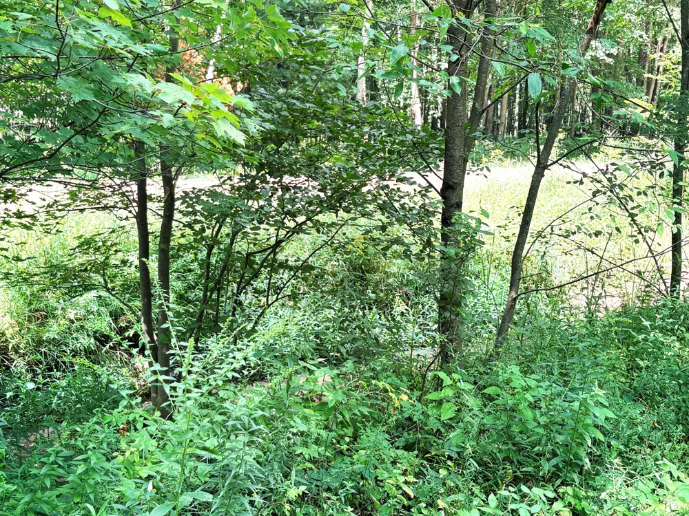 9022 Caberfae Highway Stronach Township, MI 49660