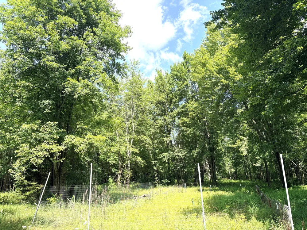 9022 Caberfae Highway Stronach Township, MI 49660