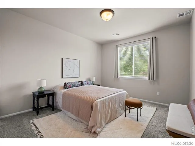 897 Shade Tree Drive Windsor, CO 80550