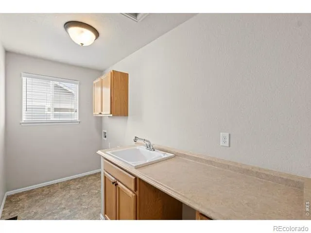 897 Shade Tree Drive Windsor, CO 80550