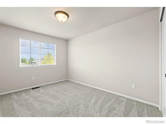 897 Shade Tree Drive Windsor, CO 80550