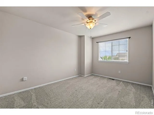 897 Shade Tree Drive Windsor, CO 80550