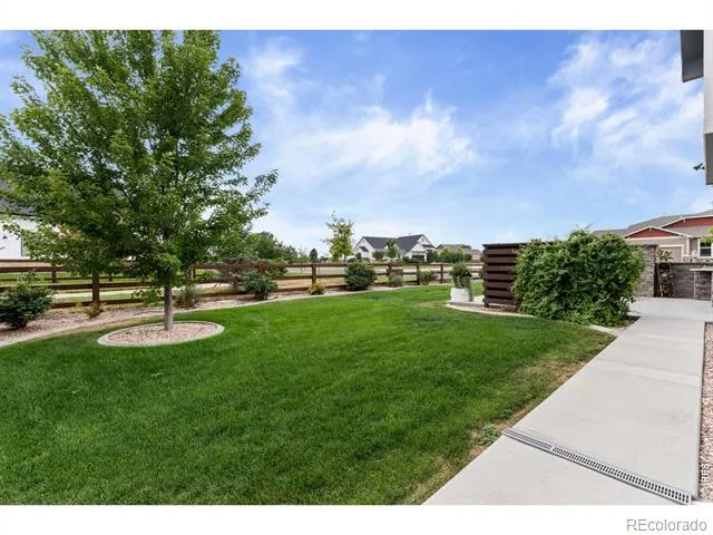 897 Shade Tree Drive Windsor, CO 80550