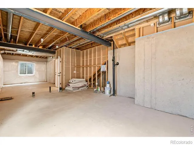 897 Shade Tree Drive Windsor, CO 80550