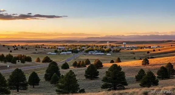 1238 Black Haw Street Elizabeth, CO 80107