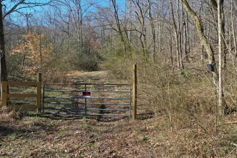 0 Dog Branch Rd
