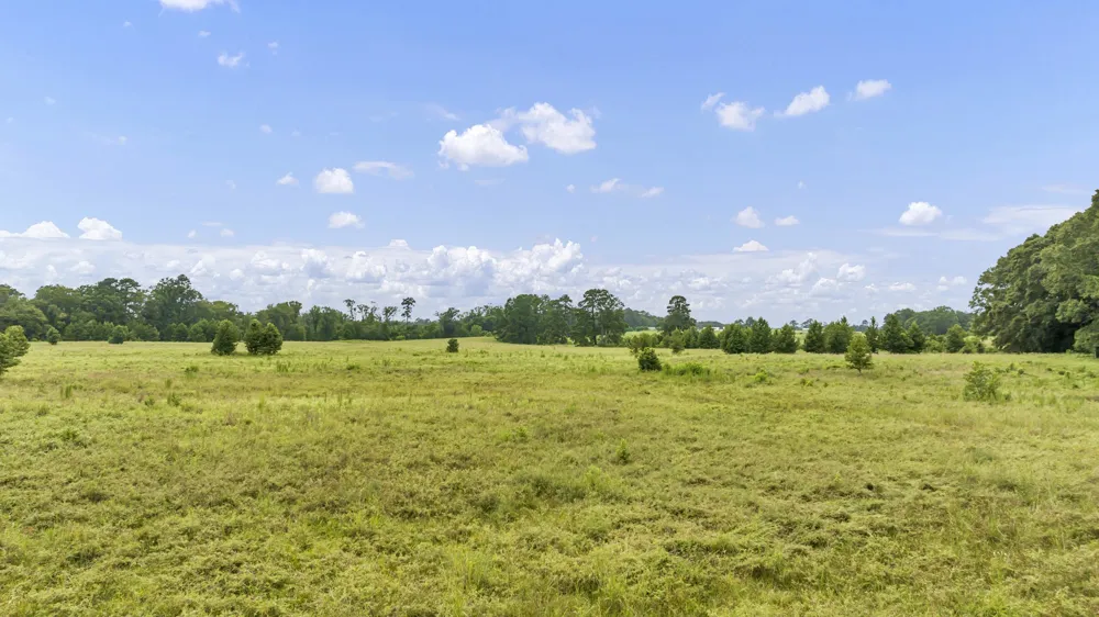 County Road 435 No City, TX 75974