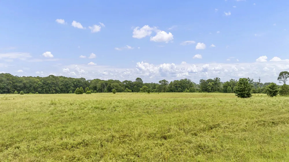 County Road 435 No City, TX 75974
