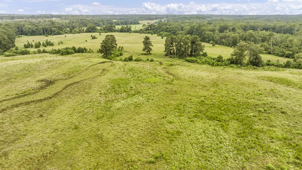 County Road 435 No City, TX 75974