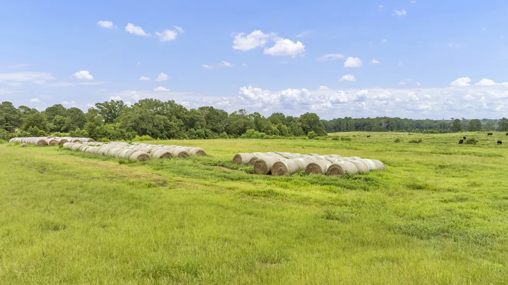 County Road 435 No City, TX 75974