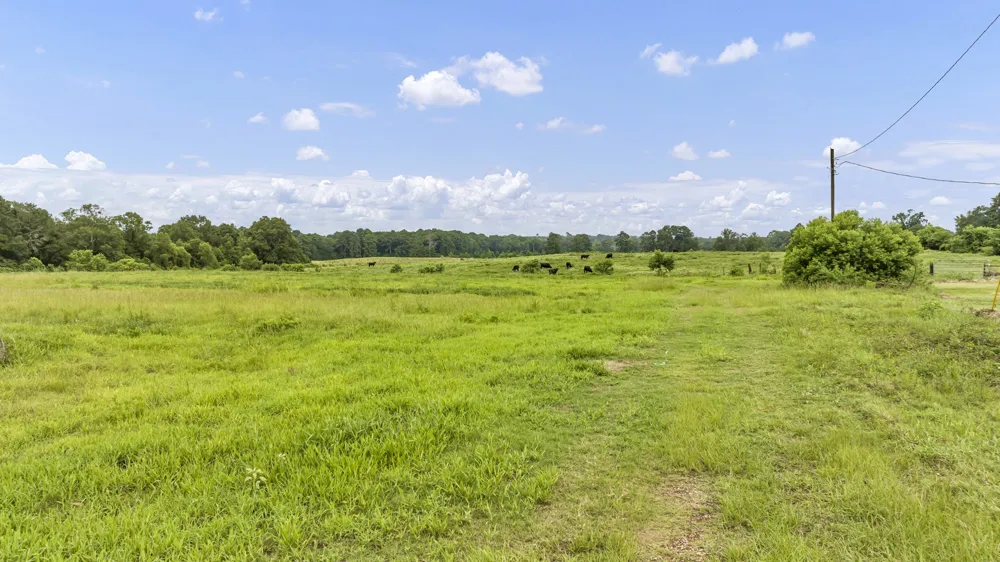 County Road 435 No City, TX 75974