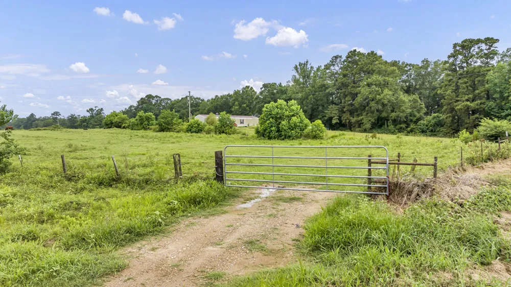 County Road 435 No City, TX 75974