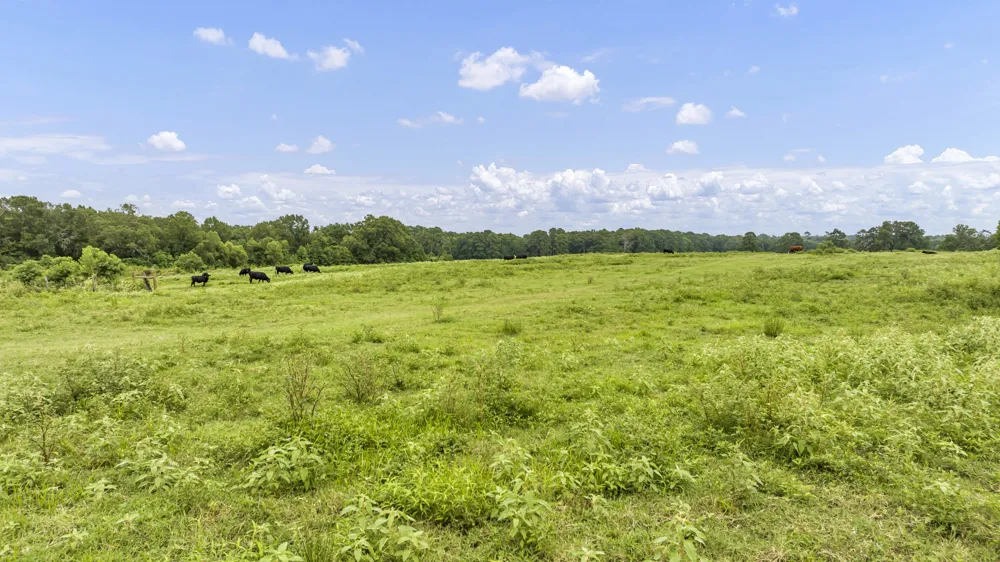 County Road 435 No City, TX 75974