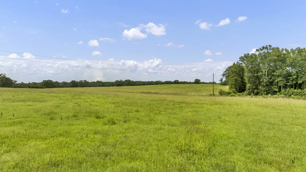 County Road 435 No City, TX 75974