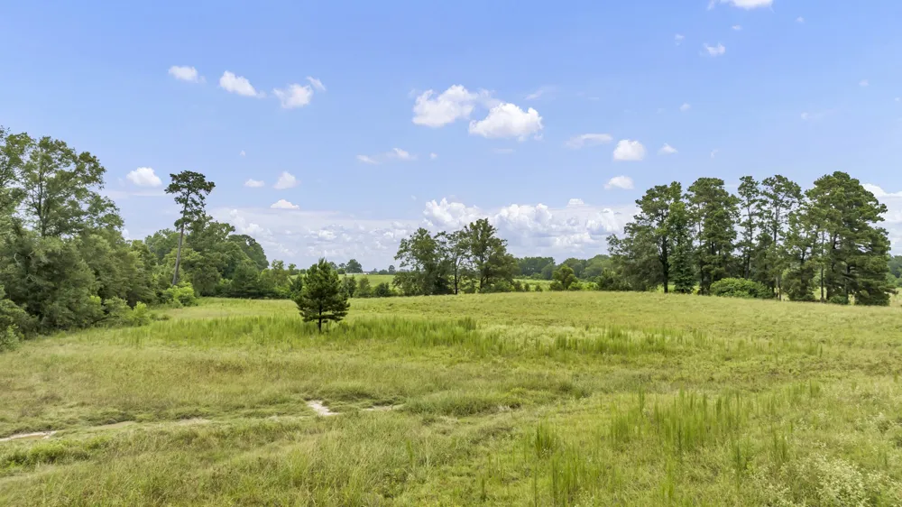 County Road 435 No City, TX 75974