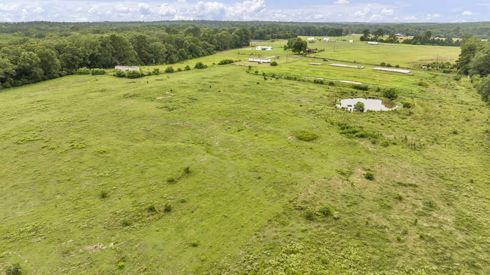 County Road 435 No City, TX 75974
