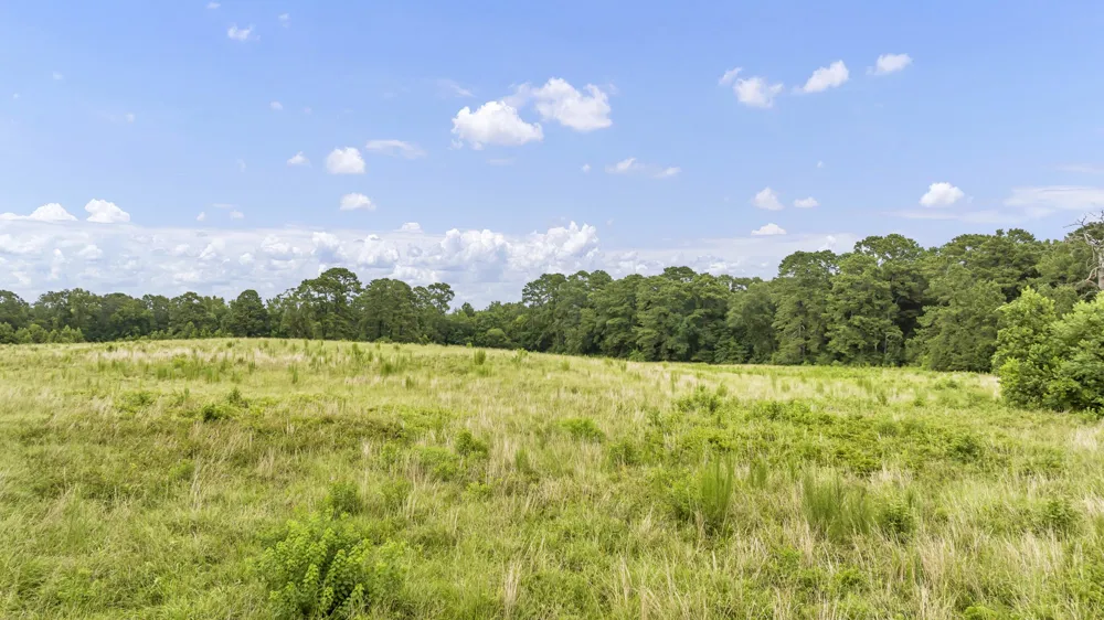 County Road 435 No City, TX 75974