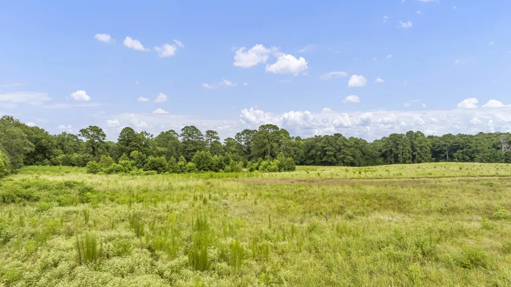 County Road 435 No City, TX 75974