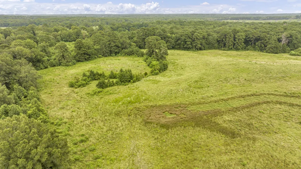 County Road 435 No City, TX 75974