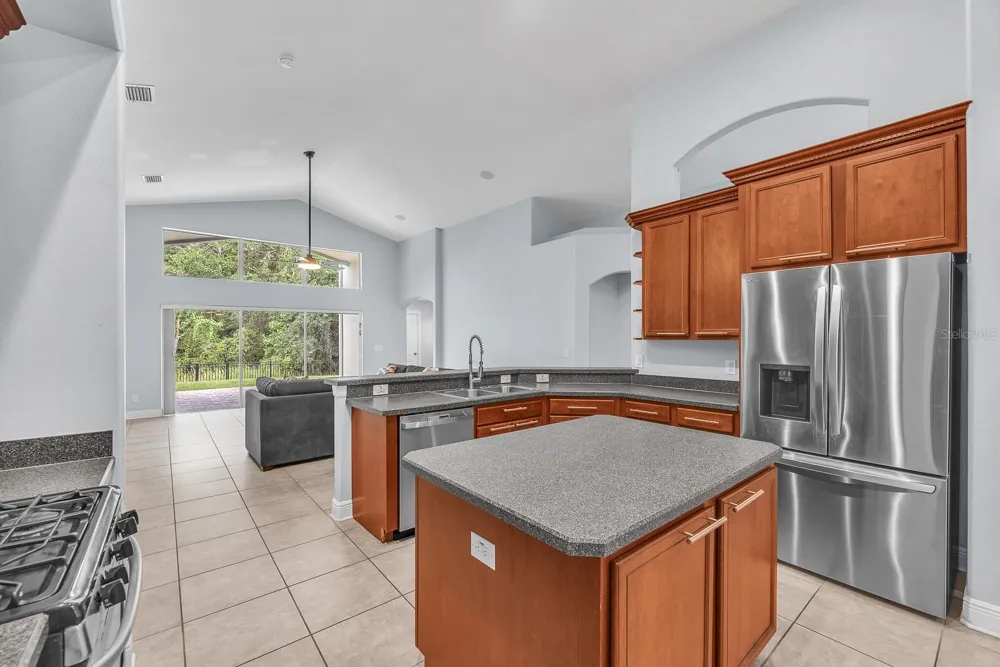 16405 BRIDGEWALK DRIVE Lithia, FL 33547
