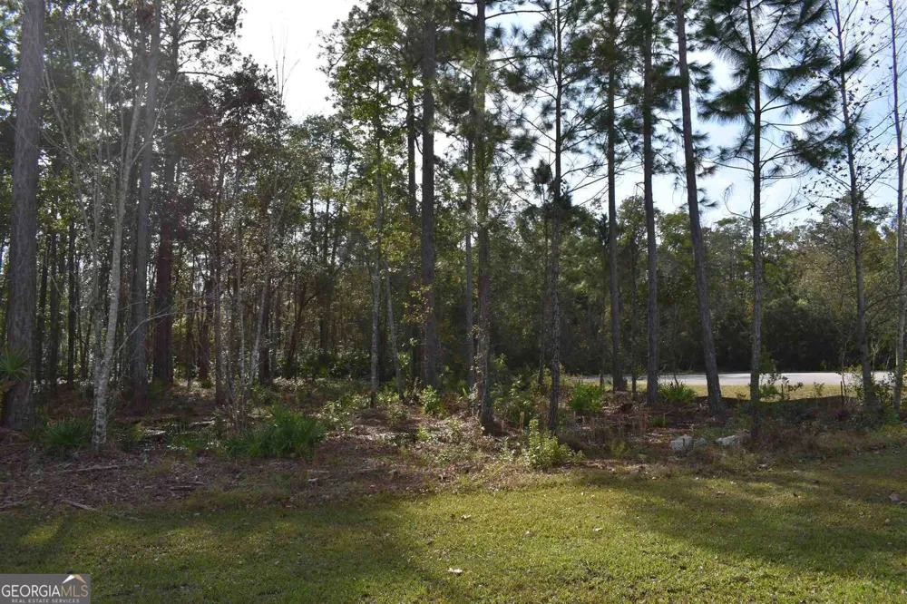104 Baiter Court St. Marys, GA 31558