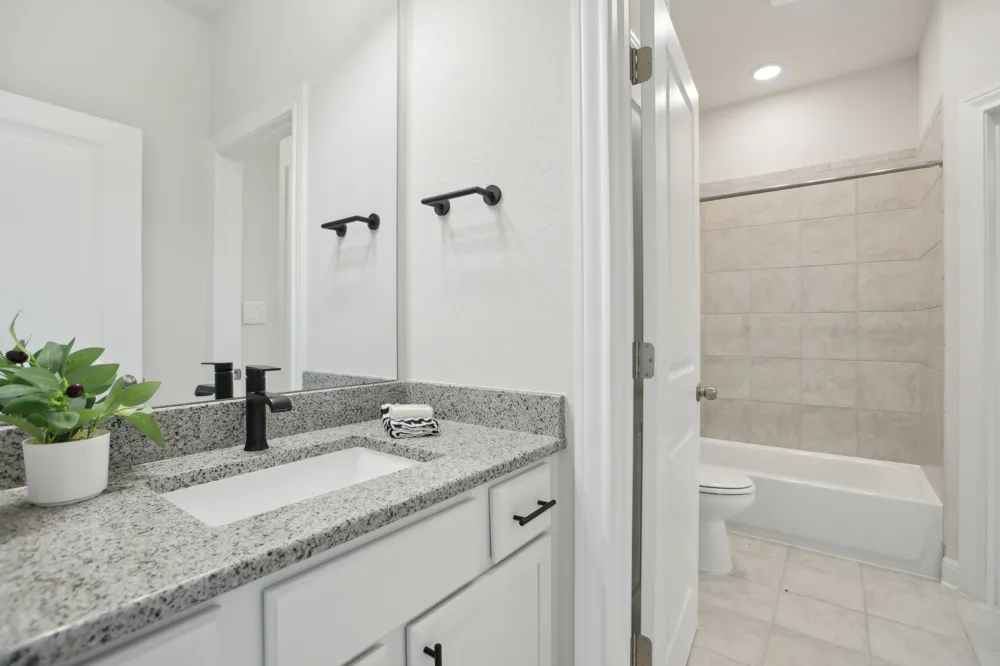 2436 Capestrano Circle Round Rock, TX 78665