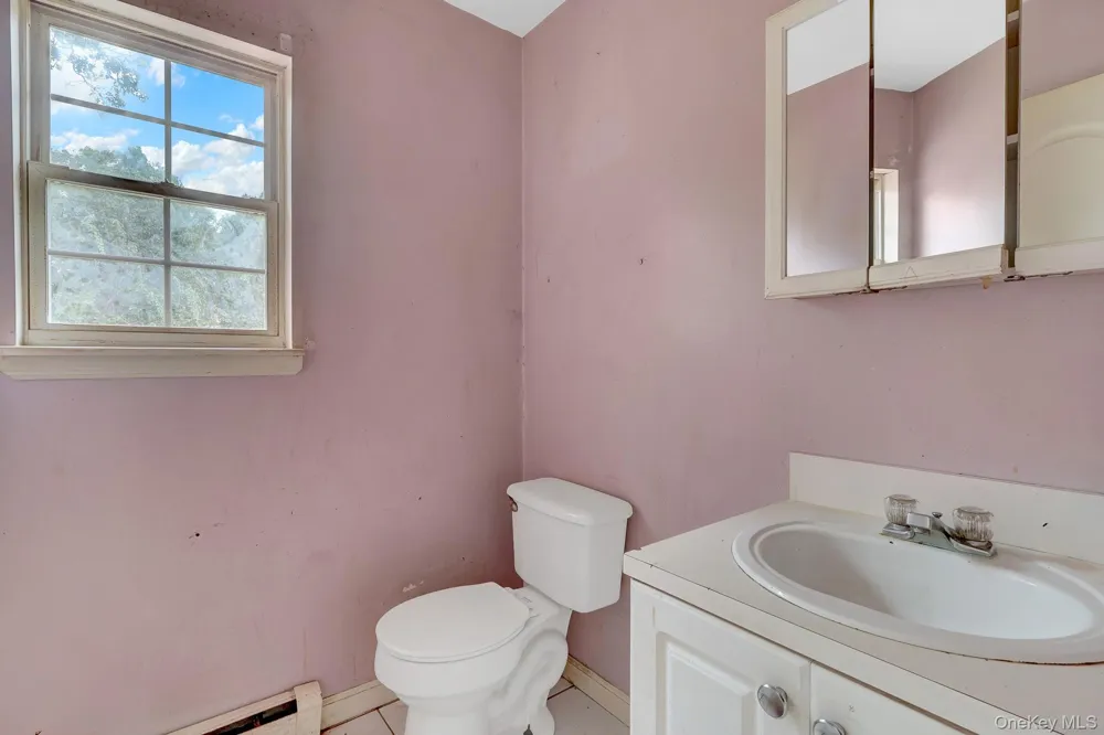 52 Arpage Drive E Shirley, NY 11967