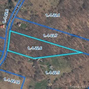 Dutch Hill Road Roscoe, NY 12776