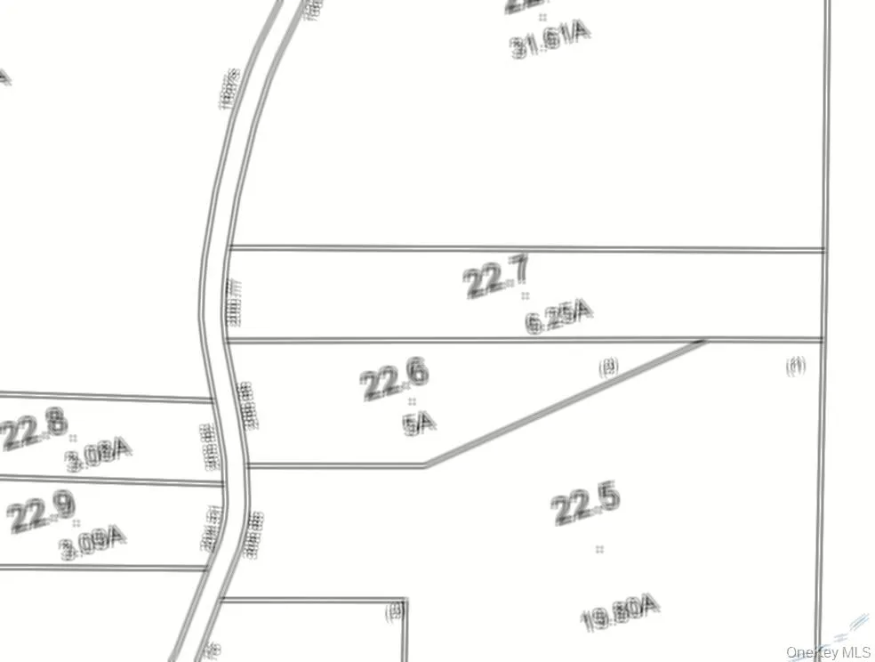 Dutch Hill Road Roscoe, NY 12776