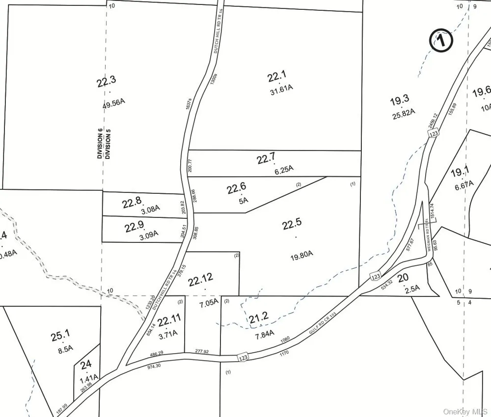 Dutch Hill Road Roscoe, NY 12776
