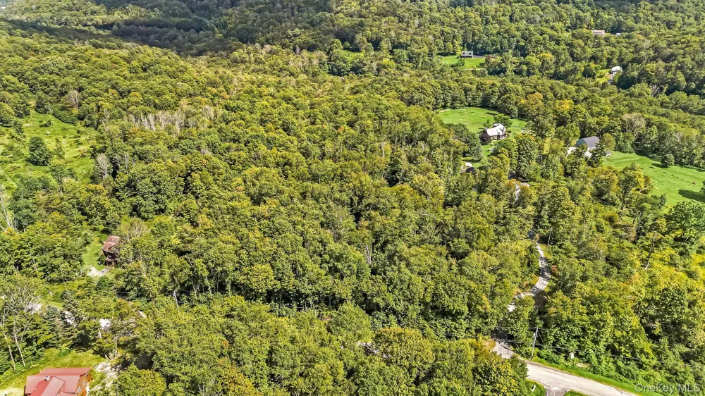 Dutch Hill Road Roscoe, NY 12776