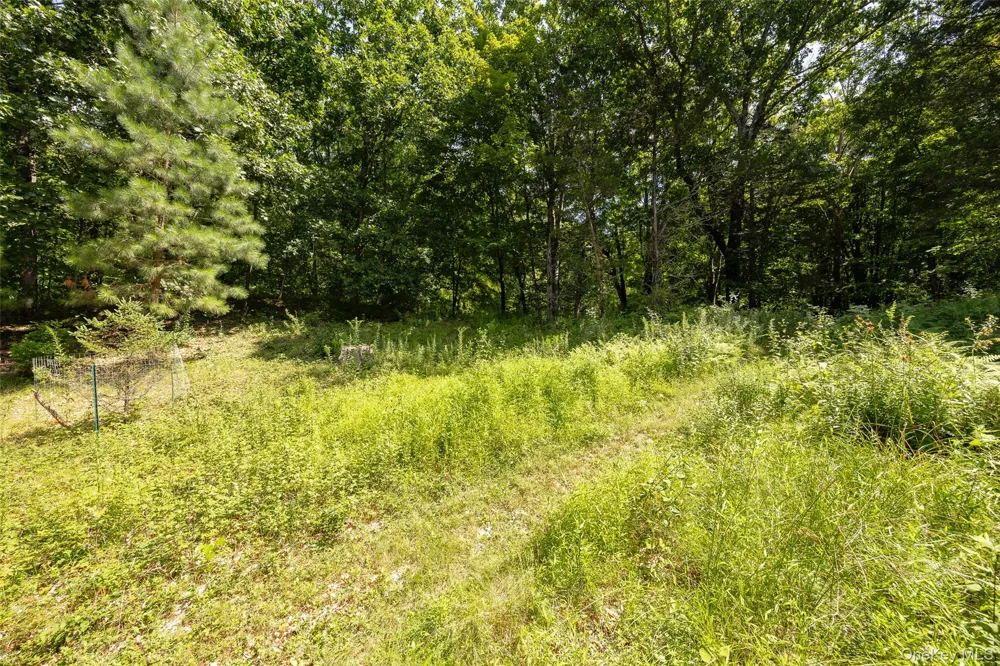 710 Pumpkin Lane Clinton Corners, NY 12514