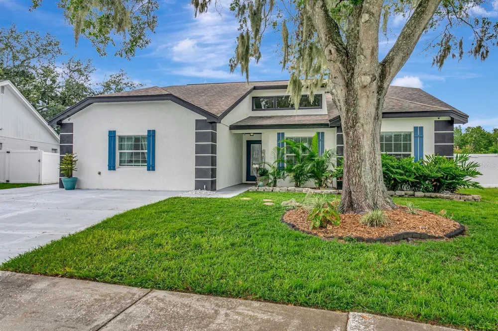 12007 VERMILLION WAY Riverview, FL 33569