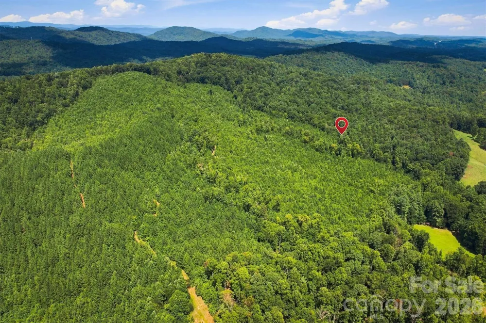 TBD Wilkesboro Boulevard Lenoir, NC 28645