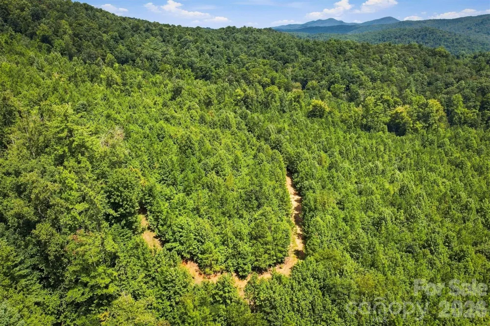 TBD Wilkesboro Boulevard Lenoir, NC 28645