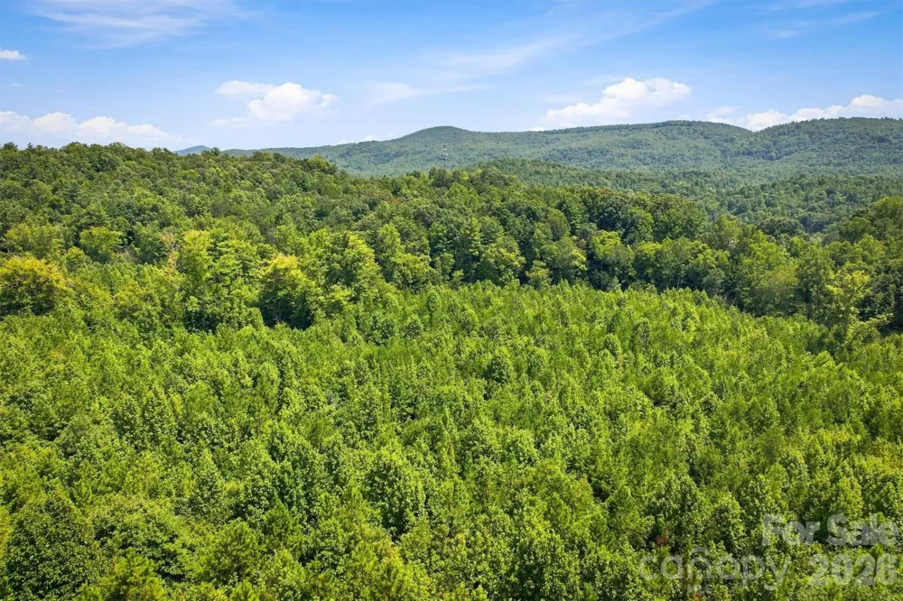 TBD Wilkesboro Boulevard Lenoir, NC 28645