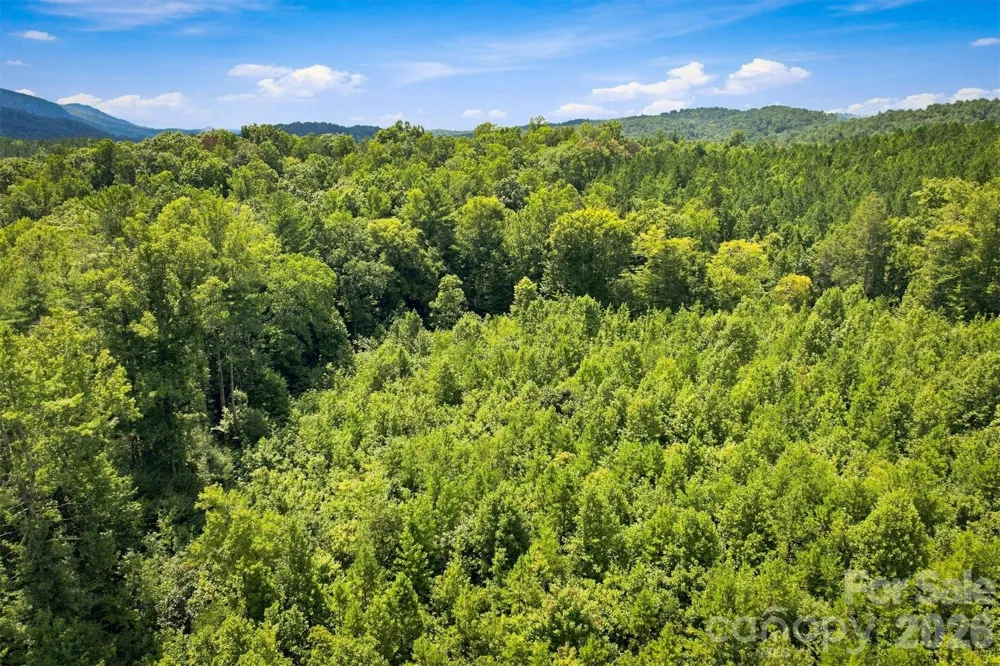 TBD Wilkesboro Boulevard Lenoir, NC 28645