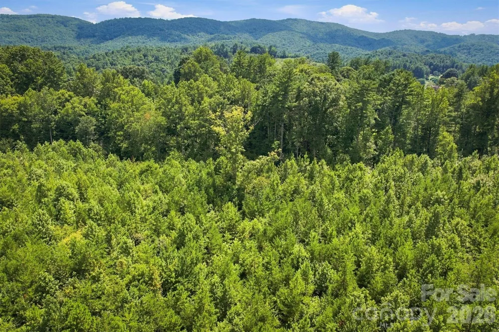 TBD Wilkesboro Boulevard Lenoir, NC 28645