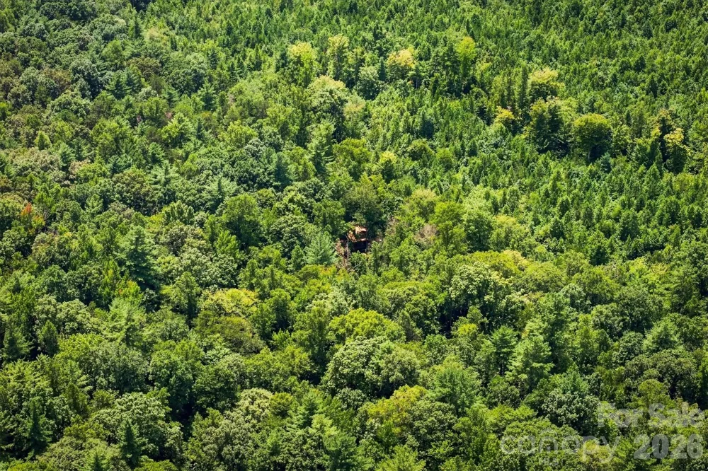 TBD Wilkesboro Boulevard Lenoir, NC 28645