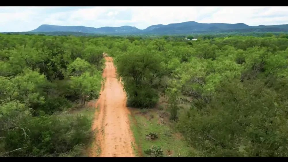Hermosa Drive Kingsland, TX 78639