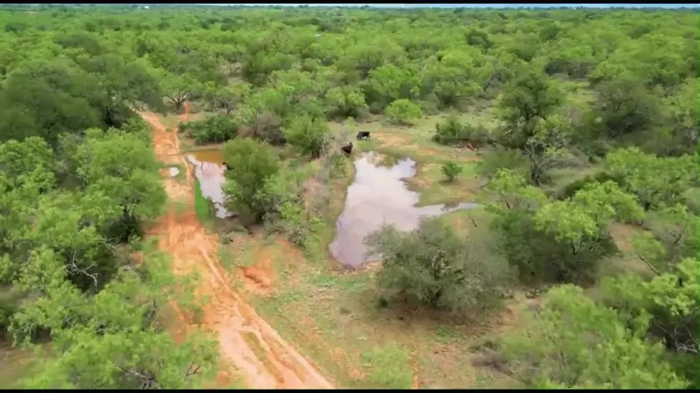 Hermosa Drive Kingsland, TX 78639