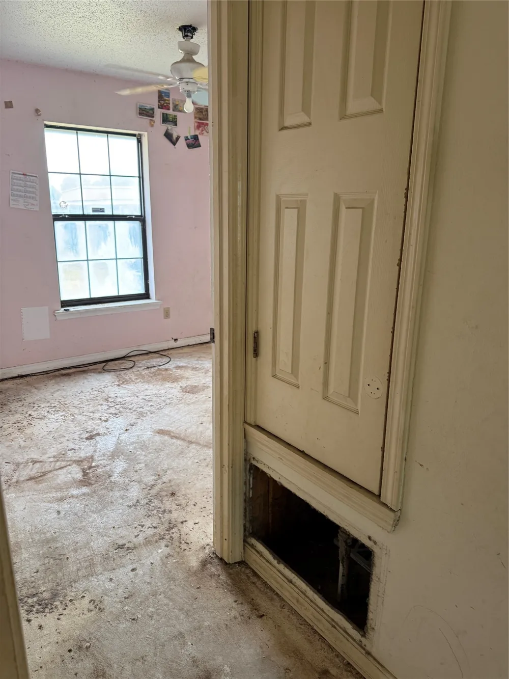 5704 Pampus Lane Bossier City, LA 71112
