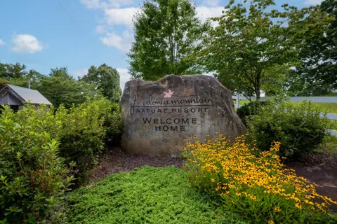 243 Roaring Creek Road