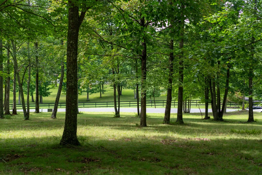 243 Roaring Creek Road Dunlap, TN 37327