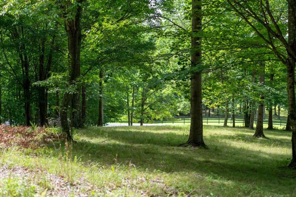 243 Roaring Creek Road Dunlap, TN 37327